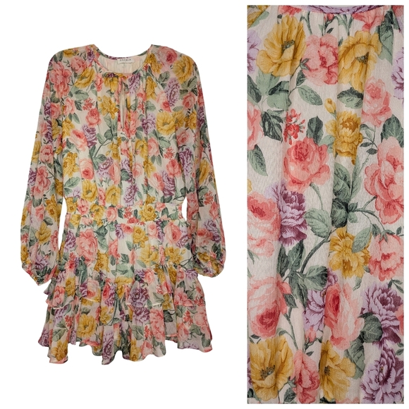 STORIA Floral Ruffle Mini Dress - Spring Garden Vibes - Size Small - Picture 3 of 13